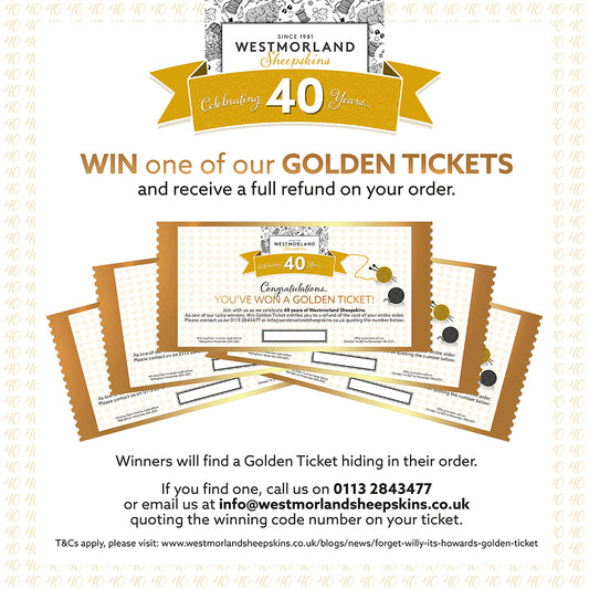 Forget Willy - It's Howard's Golden Ticket!