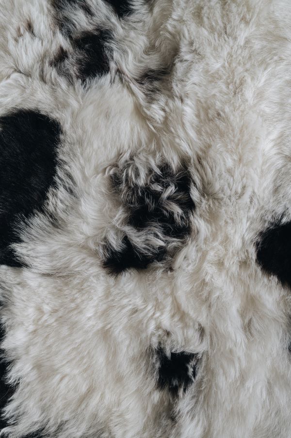 Close-up of a sheepskin rug surface with black and white patches