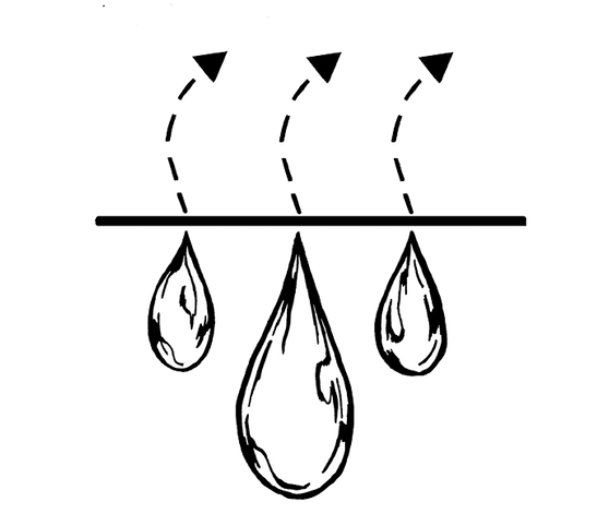 Line Drawing for Westmorland by Ellie May, Moisture Wicking.