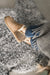 Annie Slipper on foot on top of a grey gotland
