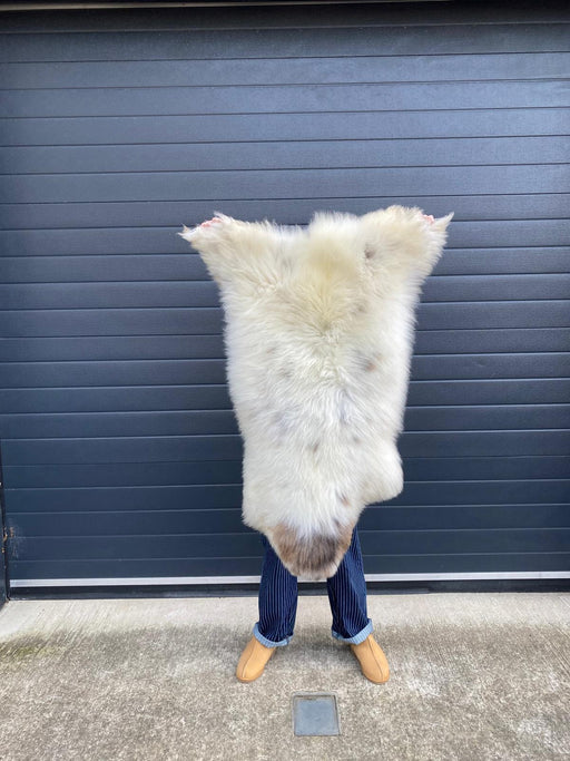 sheepskin rug being held up to show natural markings, cream with light brown spots