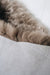 Taupe Short Haired Icelandic Sheepskin Rug - detail