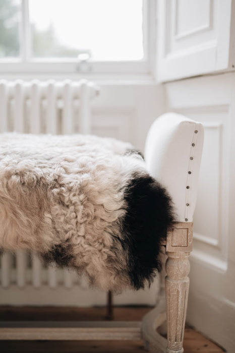 Icelandic Sheepskin Rug with Natural Dark Edges