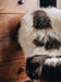 Close up of a British Jacob rug in Natural white and brown spots draped over a wooden chair