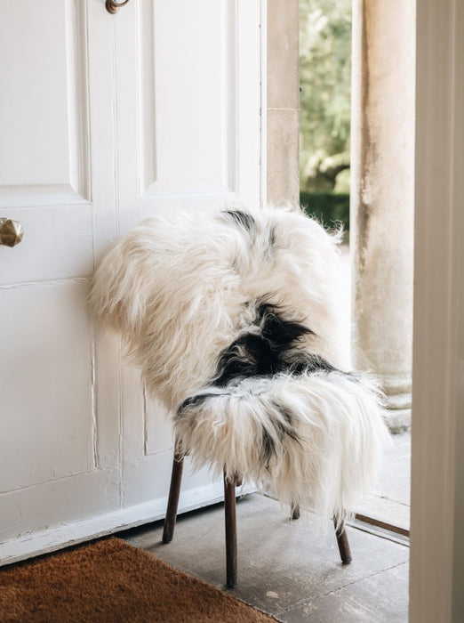 Icelandic Sheepskin Rug (Natural Spotted)