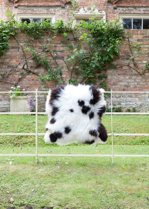 Natural spotted British sheepskin hung over white metal fence outdoors