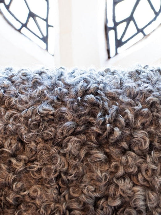 Tight Curls of a Gotland sheepskin Rug