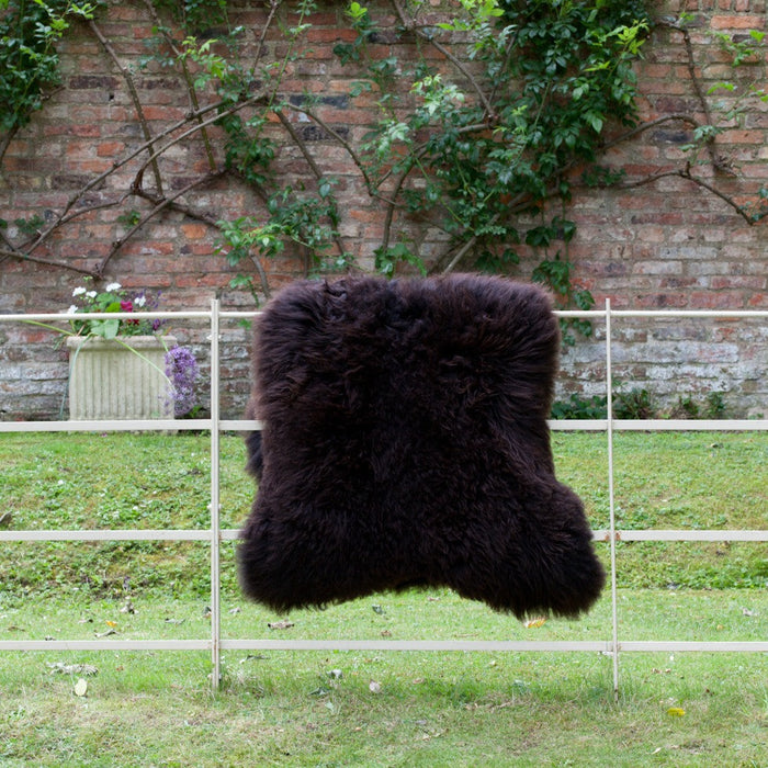 Luxuriously soft deep Brown British Sheepskin Rug, hung over fencing in walled garden.