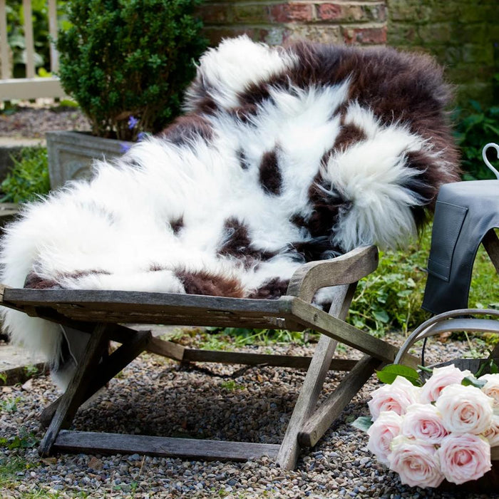 Rarbreed Sheepskin rug with Brown and White Natural patterning dressed on deck chair in garden with roses.