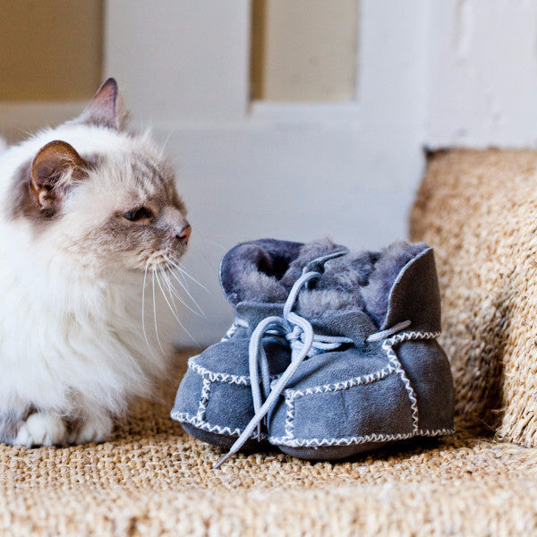 Grey baby booties, next to a white cat.