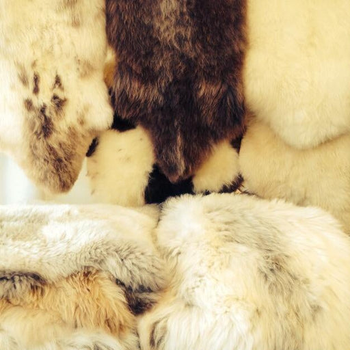 Beautiful Naturally hued British rarebreed Lamb/Sheepskin Rugs. Image shows layerd Sheepskin rugs with their natural differeneces in colours, including spots of Brown and Creamy White.