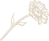 Flower illustration